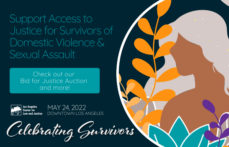 Apoyar el acceso a la justicia para sobrevivientes de violencia doméstica y agresión sexual. ¡Vea nuestra Subasta Bid for Justice y más!