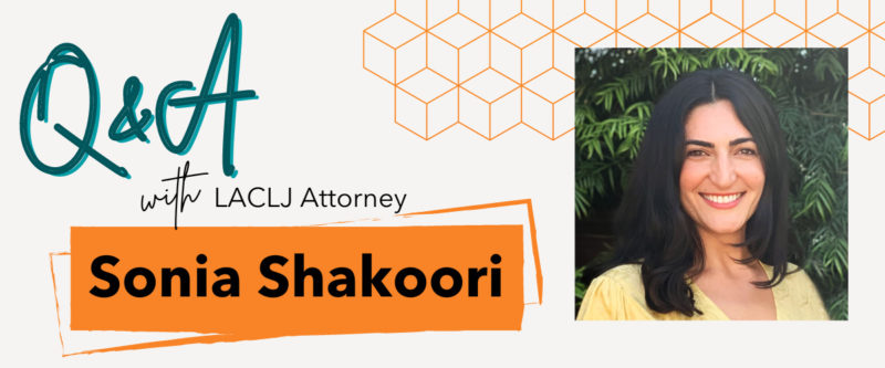 Preguntas y respuestas con la abogada de LACLJ, Sonia Shakoori